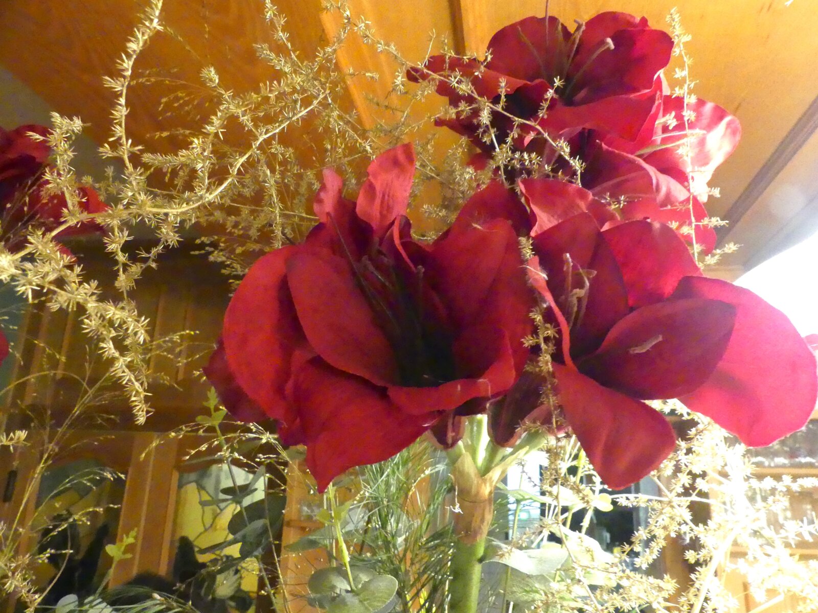 Blume